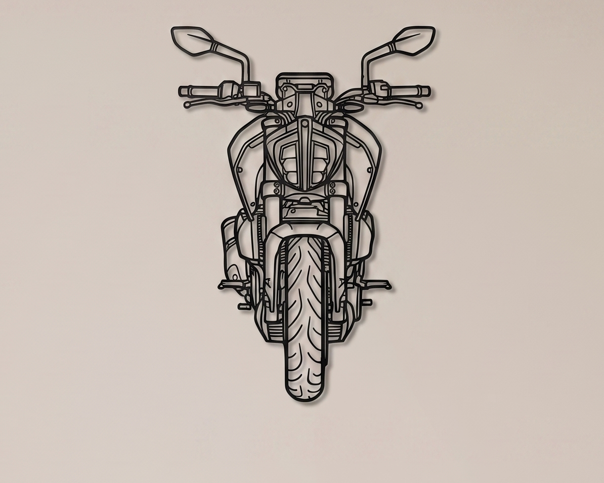 KTM Duke 390 FRONT VIEW