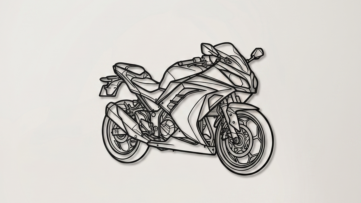 Ninja 300 3/4 VIEW
